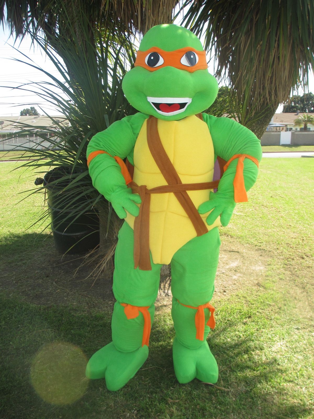 Hire Ninja Turtle for birthday parties - TMNT superhero character performer