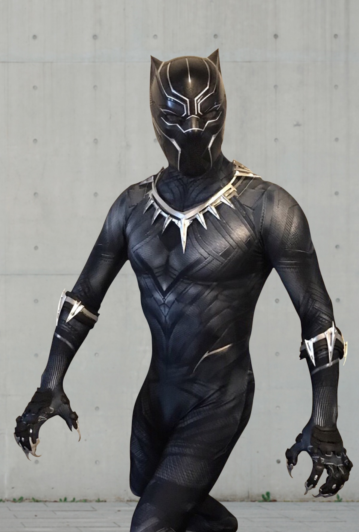 Black Panther party entertainment